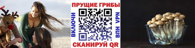 Псилоцибиновые грибы GOLDEN TEACHER  hydra зеркало  маркетплейс формула  Миллерово 